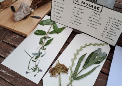 Carnets de voyages