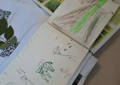 Carnets de voyages